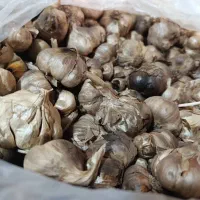 طب سنتی
