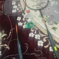 تور بدمینتون