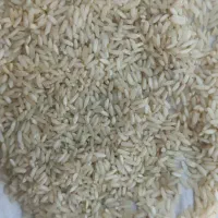برنج عنبربو