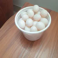 تخم کبوتر