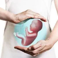 نیازمند رحم اجاره ای (رحم جایگزین)
