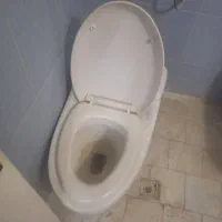 توالت فرنگی