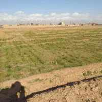 زمین زعفران و پسته۲۸۰۰متر