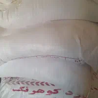 آرد