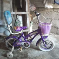دوچرخه