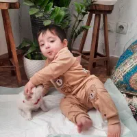 سگ خانگی|سگ|قم, بنیاد|دیوار