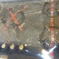 هود و اجاق گاز نو