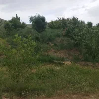فروش-باغ