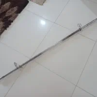 میله هالتر