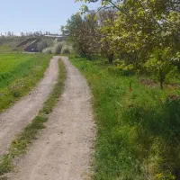نگهبانی