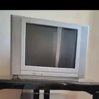 تلویزیون