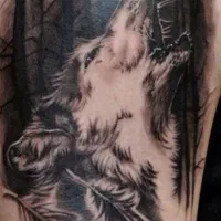 خدمات تاتو از ۴۸۰