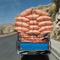 فروش کاه گندم دیم وآبی فقط تحویلی