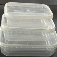 ظروف پلاستیکی بسته بندی و مایکرویوو بی رنگ کارینا