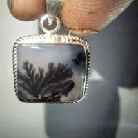پلاک شجر
