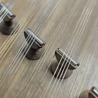 سنتور مهر قاسمی