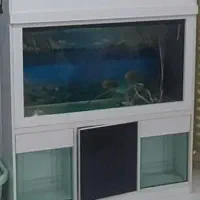 اکواریوم