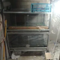 قفس جوجه یک روزه