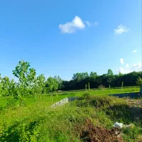 زمین 300 متر مسکونی دور دیوار
