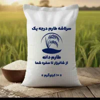 فروش برنج سرلاشه کشت دوم معطر فریدونکنار