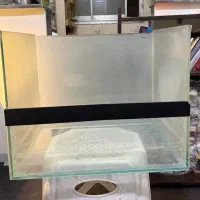 اکواریوم لاکپشت / شیشه پالاداریوم