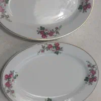 ۲ عدد خرما خوری