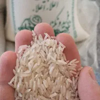 برنج طارم هاشمی فریدون کنار عطر خیلی کم