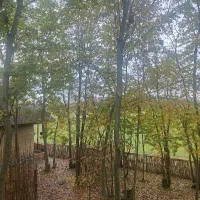 250متر مسکونی/گلرودبار/لاهیجان