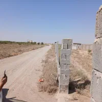 فروش5000هزارمتر-زمین-زراعی-مامونیه