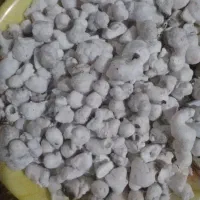زاغ سوختن و نظر گرفتن رفع بلا سر کتاب
