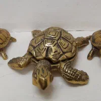 برنز سه تاش فقط یه تومن