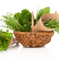 انواع محصولات خانگی ( سبزی پیاز سیر باقالی )