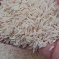 برنج ایرانی/علی کاظمی/آستانه اشرفیه/درجه یک