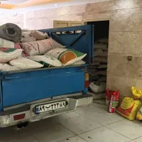گندم دیمی