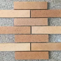 اجر نما پلاکی شاهین