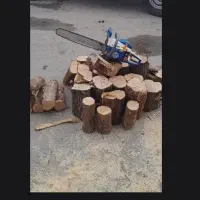 برش درخت ،هرس
