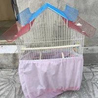 قفس جای پرنده