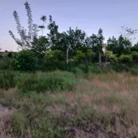 ( زمین کشاورزی و باغ) متراژ 6000