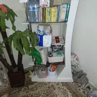 استند .