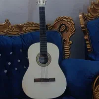 گیتار فروشی