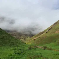 راننده با نیسان مسقف(پخش مویرگی)