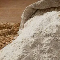 نشاسته گندم دامی