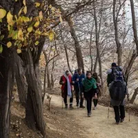 طبیعتگردی