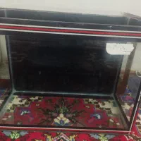 ماهی و اکواریوم