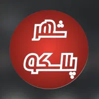 استخدام نیروی آقا