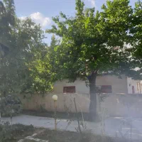 ویلا باغ