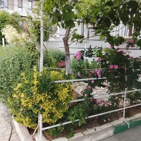 850-متر-زمین-سند-تک-برک-کوهک-بهاران