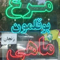 led چشمک زن ال ای دی مرغ بوقلمون ماهی