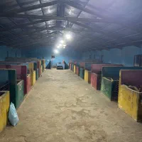 باشگاه سوارکاری مارال