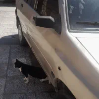 پراید ۸۶|خودرو سواری و وانت|شیبکوه (فارس), |دیوار